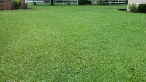 114 Turtle Shell Rd, Richlands, NC 28574 photo 81