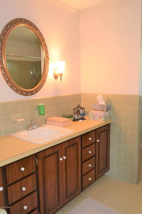 161 Friendly Dr, Wallace, NC 28466 photo 28