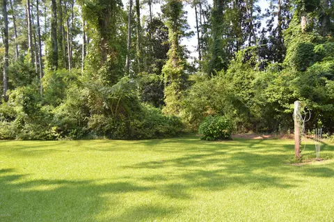 161 Friendly Dr, Wallace, NC 28466 photo 41