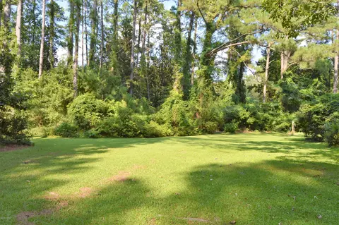 161 Friendly Dr, Wallace, NC 28466 photo 44