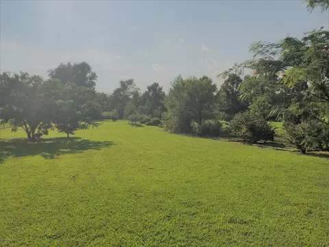 7352 Red Fox Rd, Bailey, NC 27807 photo 13