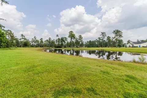116 Pine Lakes Dr, Maple Hill, NC 28454 photo 41