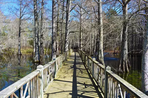 292 Aster Pl, Hampstead, NC 28443 photo 4