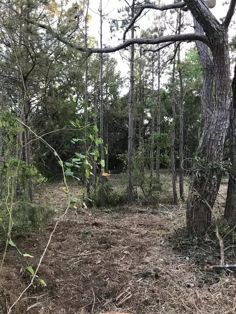 311 Core Sound Loop Rd, Atlantic, NC 28511 photo 4