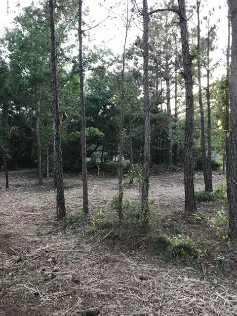 311 Core Sound Loop Rd, Atlantic, NC 28511 photo 7