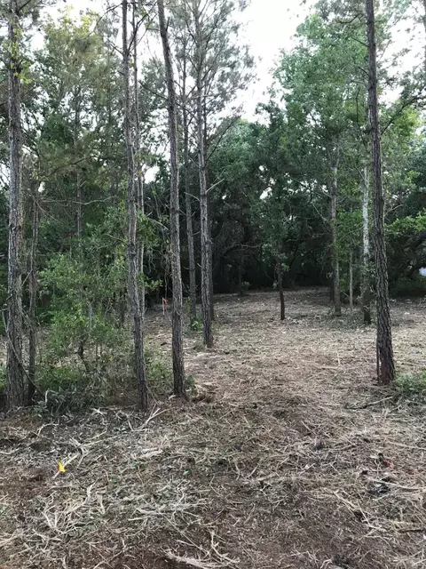 311 Core Sound Loop Rd, Atlantic, NC 28511 photo 6