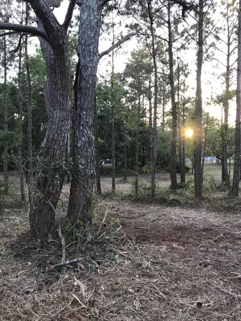 311 Core Sound Loop Rd, Atlantic, NC 28511 photo 5