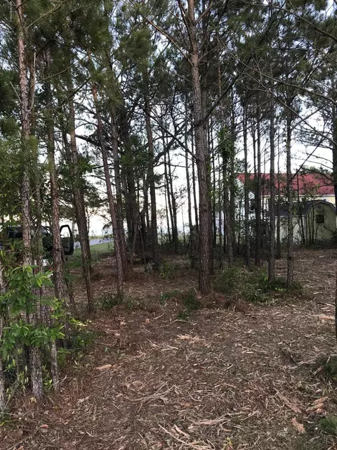 311 Core Sound Loop Rd, Atlantic, NC 28511 photo 8