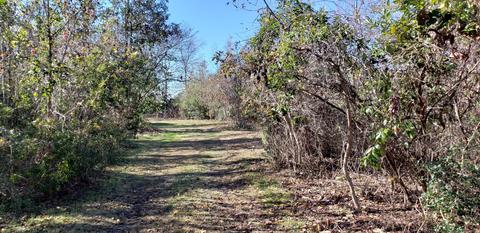 304 Olde Point Loop, Hampstead, NC 28443 photo 3