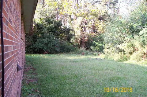 2900 Willard Rd, Willard, NC 28478 photo 10