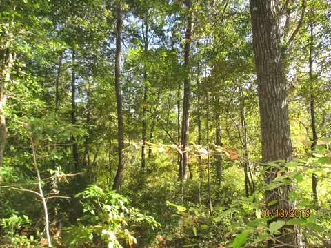 932 Post Rd, Bath, NC 27808 photo 24