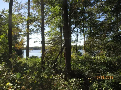 932 Post Rd, Bath, NC 27808 photo 15