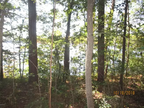 932 Post Rd, Bath, NC 27808 photo 29