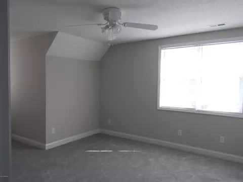 1831 Anderson Rd, Willard, NC 28478 photo 46