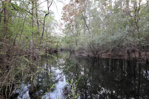 5 Old Maple Hill Rd, Maple Hill, NC 28454 photo 3