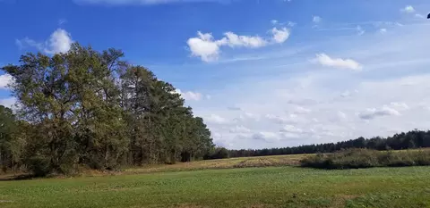 2000 Dover Fort Barnwell Rd, Dover, NC 28526 photo 10
