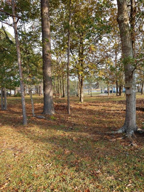 115 Robin Ln, Oriental, NC 28571 photo 10
