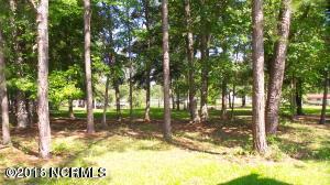 115 Robin Ln, Oriental, NC 28571 photo 6