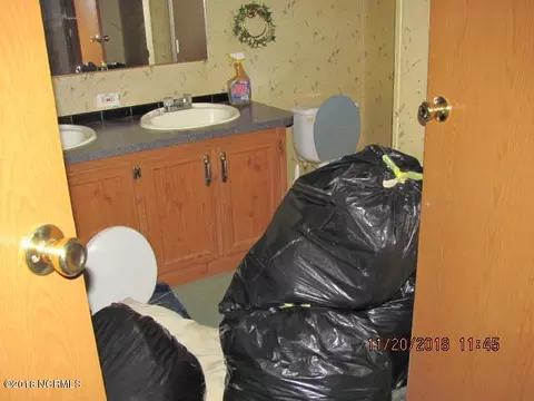 247 Frances Ln, Dover, NC 28526 photo 6