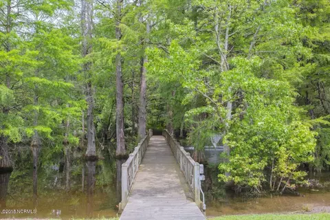 160 Iris Way, Hampstead, NC 28443 photo 65