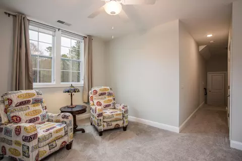 160 Iris Way, Hampstead, NC 28443 photo 49