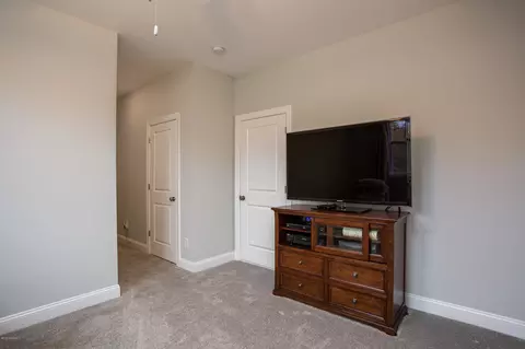 160 Iris Way, Hampstead, NC 28443 photo 50