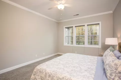 160 Iris Way, Hampstead, NC 28443 photo 35
