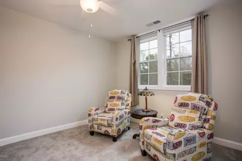 160 Iris Way, Hampstead, NC 28443 photo 48