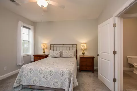 160 Iris Way, Hampstead, NC 28443 photo 51