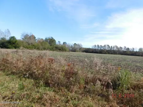 7151 Piney Woods Rd, Willard, NC 28478 photo 7