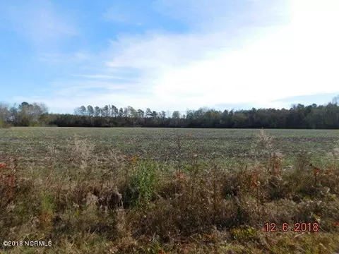 7151 Piney Woods Rd, Willard, NC 28478 photo 8