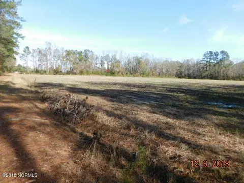7151 Piney Woods Rd, Willard, NC 28478 photo 2