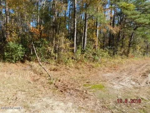 7151 Piney Woods Rd, Willard, NC 28478 photo 4