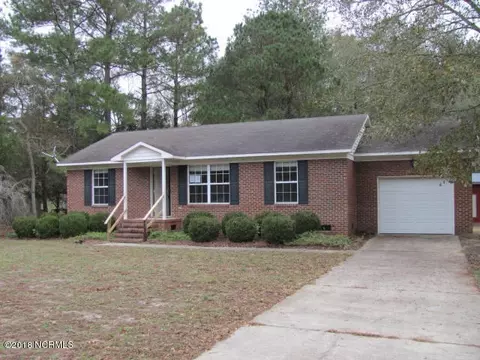 2308 Tulls Mill Rd, Deep Run, NC 28525 photo 1