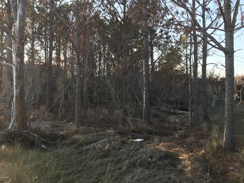 164 Macbry Rd, Marshallberg, NC 28553 photo 4