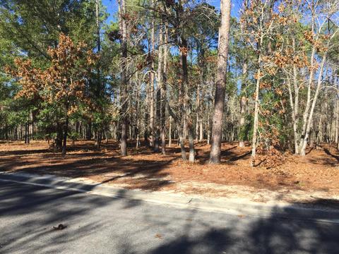 568 Vela Path SE, Bolivia, NC 28422