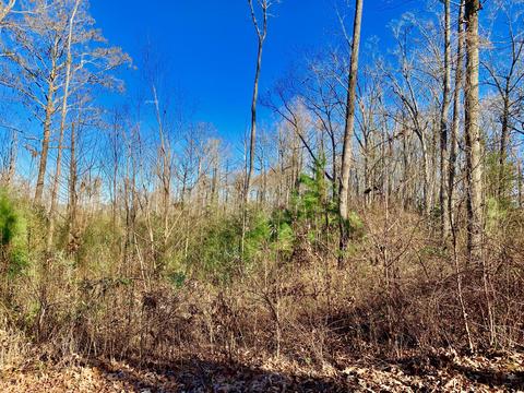 51 Grace Dr, Chocowinity, NC 27817 photo 3