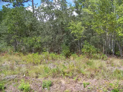 583 E Boiling Spring Rd, Boiling Spring Lakes, NC 28461 photo 1