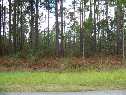2404 E Boiling Spring Rd, Boiling Spring Lakes, NC 28461 photo 1