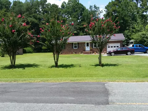 780 Johnson Nursery Rd, Willard, NC 28478 photo 1