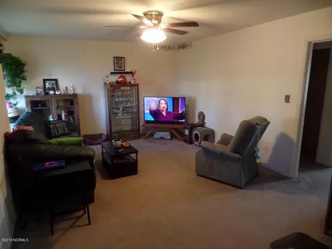 12474 Nc Highway 210 E, Ivanhoe, NC 28447 photo 4