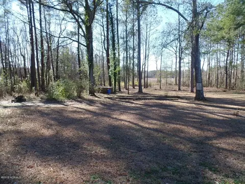 12474 Nc Highway 210 E, Ivanhoe, NC 28447 photo 14