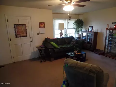 12474 Nc Highway 210 E, Ivanhoe, NC 28447 photo 3