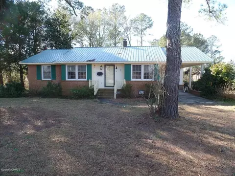 12474 Nc Highway 210 E, Ivanhoe, NC 28447 photo 1