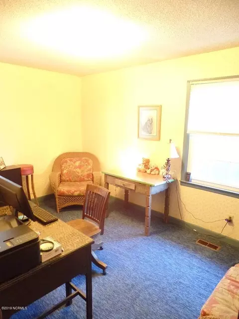 12474 Nc Highway 210 E, Ivanhoe, NC 28447 photo 9