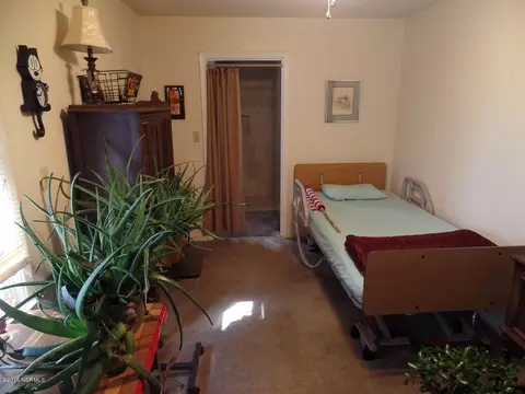 12474 Nc Highway 210 E, Ivanhoe, NC 28447 photo 7