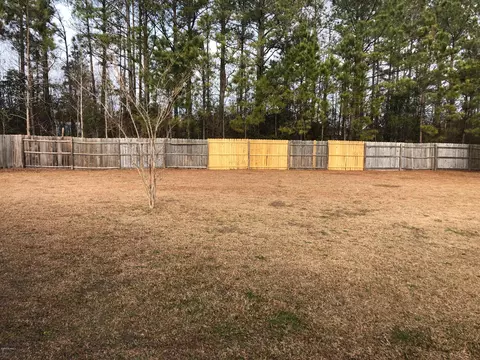 1322 Shellbark Ct, Havelock, NC 28532 photo 31