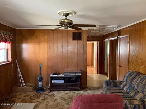 3644 Watha Rd, Willard, NC 28478 photo 4