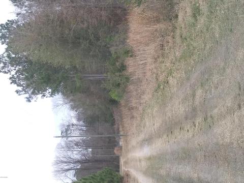 2654 Dr Kerr Rd, Ivanhoe, NC 28447 photo 1