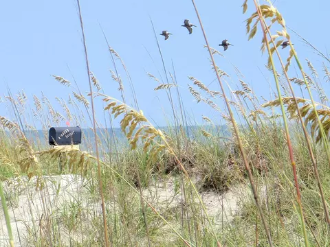 427 40th St, Sunset Beach, NC 28468 photo 30